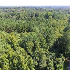 Photo of UNDER CONTRACT!  37 Acres of Hunting and Recreational Land For Sale in Brunswick County VA!