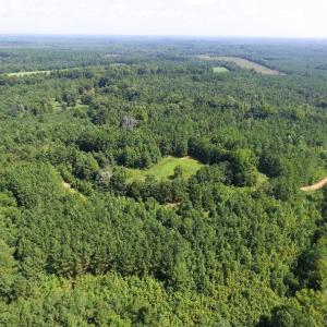 Photo of UNDER CONTRACT!  37 Acres of Hunting and Recreational Land For Sale in Brunswick County VA!