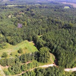 Photo of UNDER CONTRACT!  37 Acres of Hunting and Recreational Land For Sale in Brunswick County VA!