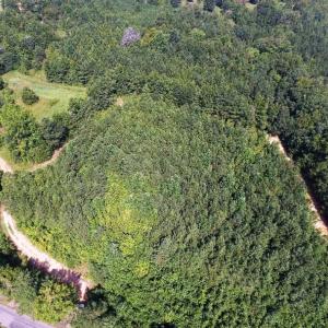 Photo of UNDER CONTRACT!  37 Acres of Hunting and Recreational Land For Sale in Brunswick County VA!