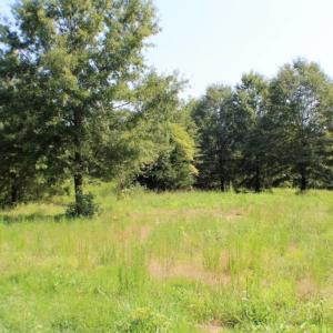 Photo of UNDER CONTRACT!  37 Acres of Hunting and Recreational Land For Sale in Brunswick County VA!