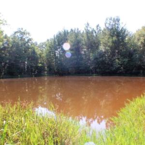 Photo of UNDER CONTRACT!  37 Acres of Hunting and Recreational Land For Sale in Brunswick County VA!