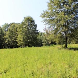 Photo of UNDER CONTRACT!  37 Acres of Hunting and Recreational Land For Sale in Brunswick County VA!