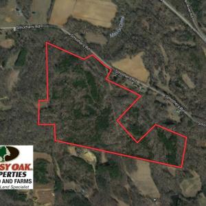 Photo of SOLD!  81.57 Acres of Prime Hunting and Investment Land For Sale in Rockingham County NC!