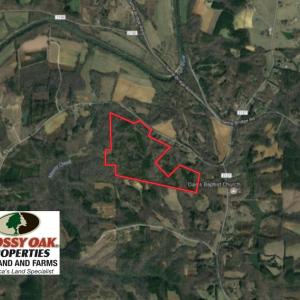 Photo of SOLD!  81.57 Acres of Prime Hunting and Investment Land For Sale in Rockingham County NC!