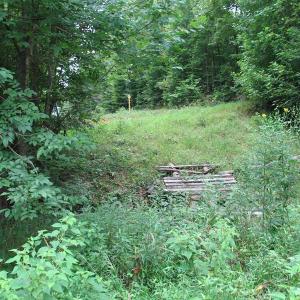 Photo of SOLD!  81.57 Acres of Prime Hunting and Investment Land For Sale in Rockingham County NC!