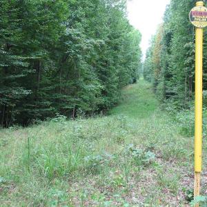 Photo of SOLD!  81.57 Acres of Prime Hunting and Investment Land For Sale in Rockingham County NC!