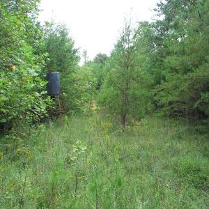 Photo of SOLD!  81.57 Acres of Prime Hunting and Investment Land For Sale in Rockingham County NC!