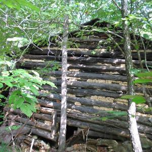 Photo of SOLD!  81.57 Acres of Prime Hunting and Investment Land For Sale in Rockingham County NC!