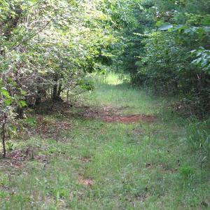 Photo of SOLD!  81.57 Acres of Prime Hunting and Investment Land For Sale in Rockingham County NC!