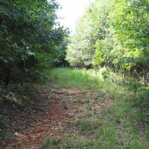 Photo of SOLD!  81.57 Acres of Prime Hunting and Investment Land For Sale in Rockingham County NC!