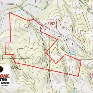 Photo of SOLD!  81.57 Acres of Prime Hunting and Investment Land For Sale in Rockingham County NC!