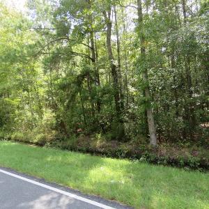 Photo of UNDER CONTRACT!  50.81 Acres of Hunting Land For Sale in Columbus County NC!