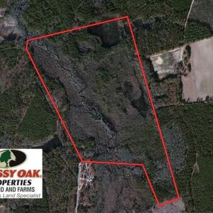 Photo of UNDER CONTRACT!  99 Acres of Hunting Land For Sale in Marlboro County SC!