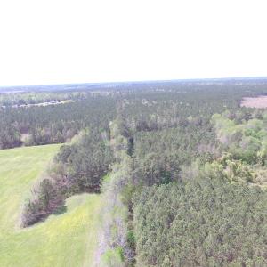 Photo of UNDER CONTRACT!  15 Acres of Hunting and Investment Land For Sale in Suffolk VA!