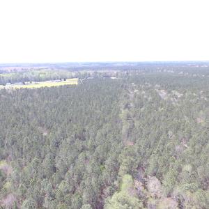 Photo of UNDER CONTRACT!  15 Acres of Hunting and Investment Land For Sale in Suffolk VA!