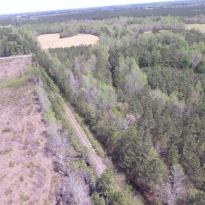 Photo of UNDER CONTRACT!  15 Acres of Hunting and Investment Land For Sale in Suffolk VA!