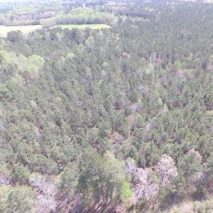 Photo of UNDER CONTRACT!  15 Acres of Hunting and Investment Land For Sale in Suffolk VA!