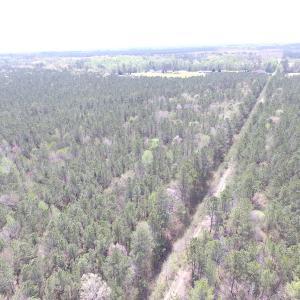 Photo of UNDER CONTRACT!  15 Acres of Hunting and Investment Land For Sale in Suffolk VA!
