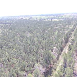 Photo of UNDER CONTRACT!  15 Acres of Hunting and Investment Land For Sale in Suffolk VA!
