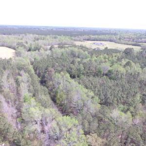 Photo of UNDER CONTRACT!  15 Acres of Hunting and Investment Land For Sale in Suffolk VA!