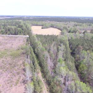 Photo of UNDER CONTRACT!  15 Acres of Hunting and Investment Land For Sale in Suffolk VA!