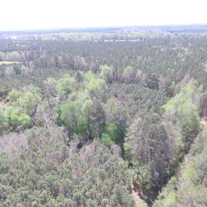 Photo of UNDER CONTRACT!  15 Acres of Hunting and Investment Land For Sale in Suffolk VA!