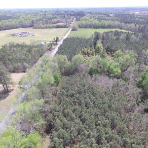 Photo of UNDER CONTRACT!  15 Acres of Hunting and Investment Land For Sale in Suffolk VA!