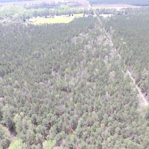 Photo of UNDER CONTRACT!  15 Acres of Hunting and Investment Land For Sale in Suffolk VA!