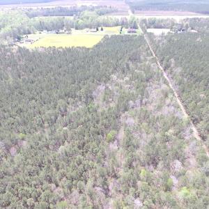 Photo of UNDER CONTRACT!  15 Acres of Hunting and Investment Land For Sale in Suffolk VA!