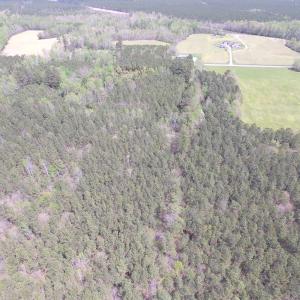 Photo of UNDER CONTRACT!  15 Acres of Hunting and Investment Land For Sale in Suffolk VA!