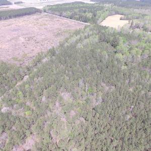 Photo of UNDER CONTRACT!  15 Acres of Hunting and Investment Land For Sale in Suffolk VA!