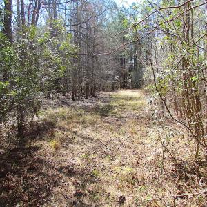Photo of UNDER CONTRACT!  15 Acres of Hunting and Investment Land For Sale in Suffolk VA!
