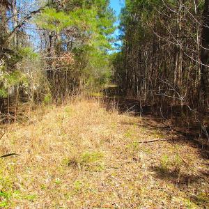 Photo of UNDER CONTRACT!  15 Acres of Hunting and Investment Land For Sale in Suffolk VA!