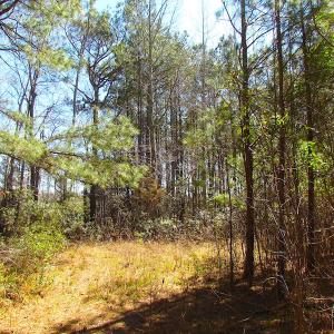 Photo of UNDER CONTRACT!  15 Acres of Hunting and Investment Land For Sale in Suffolk VA!