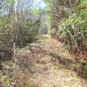 Photo of UNDER CONTRACT!  15 Acres of Hunting and Investment Land For Sale in Suffolk VA!