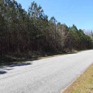 Photo of UNDER CONTRACT!  15 Acres of Hunting and Investment Land For Sale in Suffolk VA!