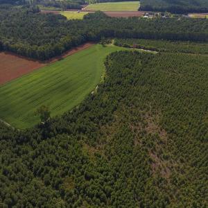 Photo of PENDING!  57.3 Acres of Timber and Farm Land For Sale in Wilson County NC!