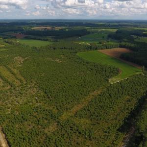 Photo of PENDING!  57.3 Acres of Timber and Farm Land For Sale in Wilson County NC!