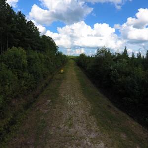 Photo of PENDING!  57.3 Acres of Timber and Farm Land For Sale in Wilson County NC!