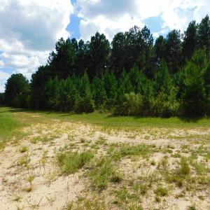 Photo of PENDING!  57.3 Acres of Timber and Farm Land For Sale in Wilson County NC!