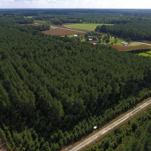 Photo of PENDING!  57.3 Acres of Timber and Farm Land For Sale in Wilson County NC!