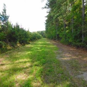 Photo of PENDING!  57.3 Acres of Timber and Farm Land For Sale in Wilson County NC!