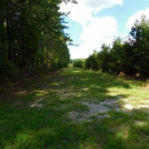 Photo of PENDING!  57.3 Acres of Timber and Farm Land For Sale in Wilson County NC!