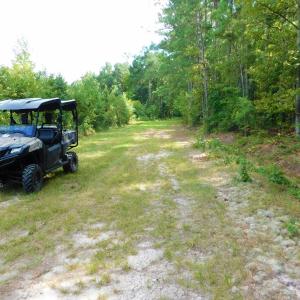 Photo of PENDING!  57.3 Acres of Timber and Farm Land For Sale in Wilson County NC!
