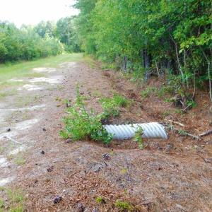 Photo of PENDING!  57.3 Acres of Timber and Farm Land For Sale in Wilson County NC!
