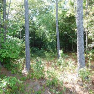 Photo of PENDING!  57.3 Acres of Timber and Farm Land For Sale in Wilson County NC!