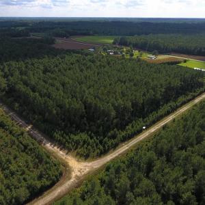 Photo of PENDING!  57.3 Acres of Timber and Farm Land For Sale in Wilson County NC!