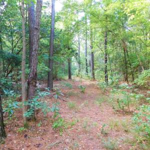 Photo of PENDING!  57.3 Acres of Timber and Farm Land For Sale in Wilson County NC!