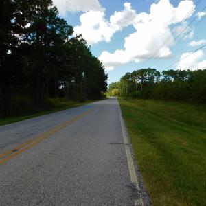 Photo of PENDING!  57.3 Acres of Timber and Farm Land For Sale in Wilson County NC!